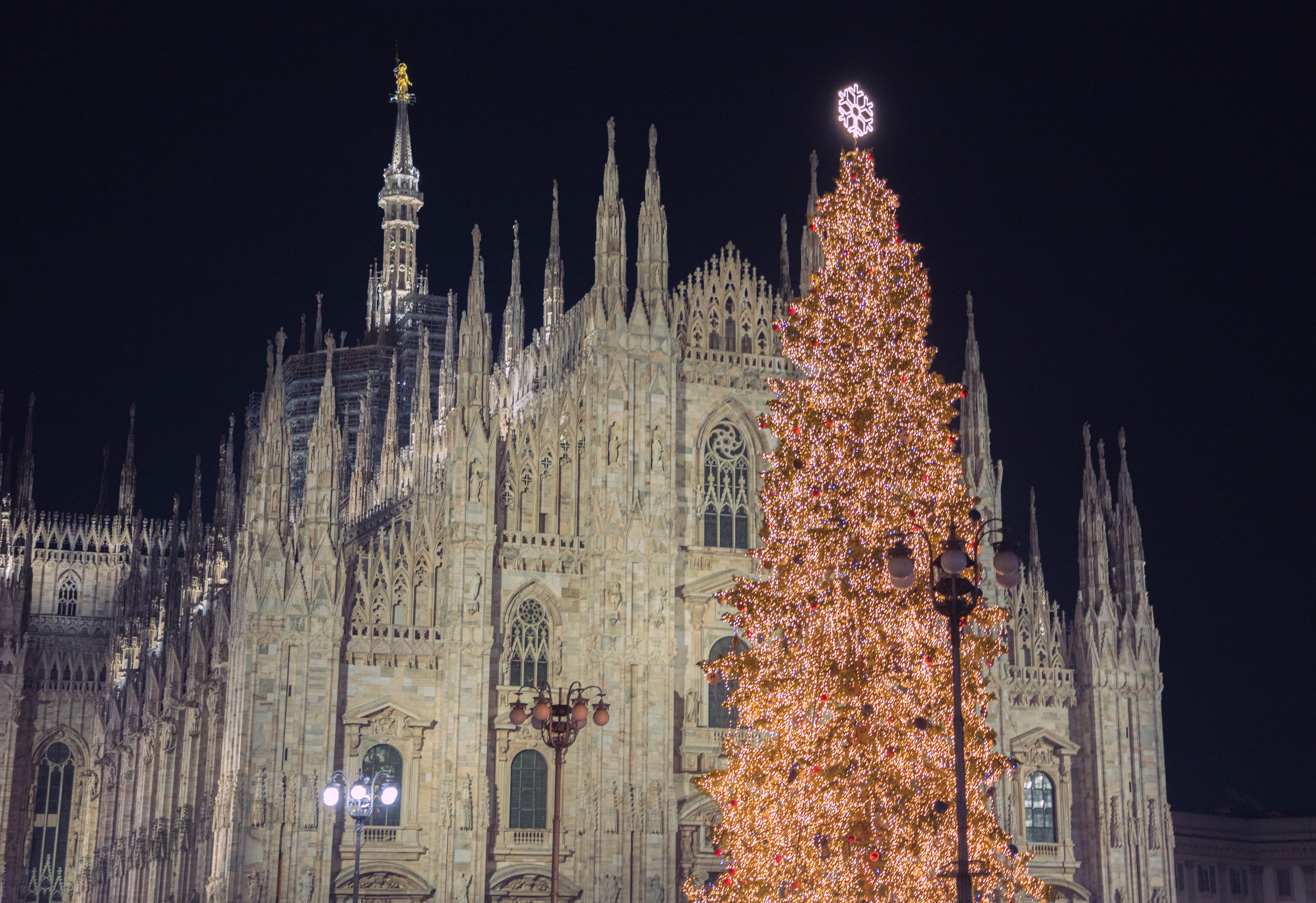 Foto del Duomo di Milano e dell'albero di natale acceso